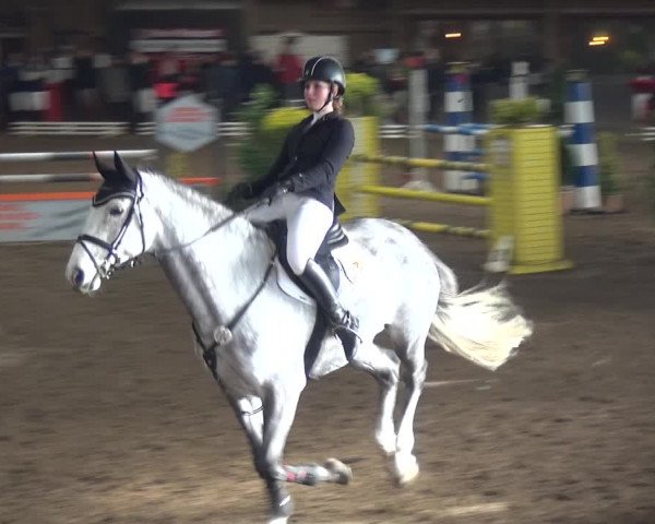 Reitturnier HH-Hummelsbüttel 2017