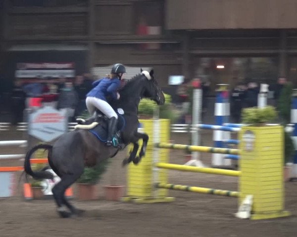 Reitturnier HH-Hummelsbüttel 2017