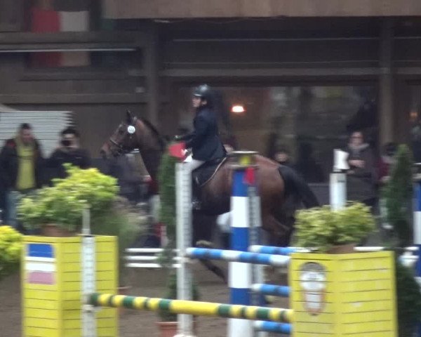 Reitturnier HH-Hummelsbüttel 2017