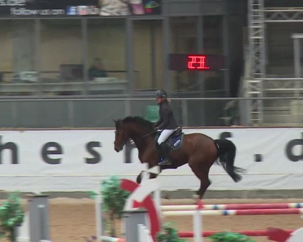 Reitturnier Kreuth 2017