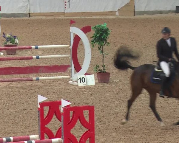 Reitturnier Kreuth 2017