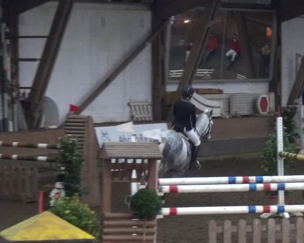Reitturnier HH-Hummelsbüttel 2017