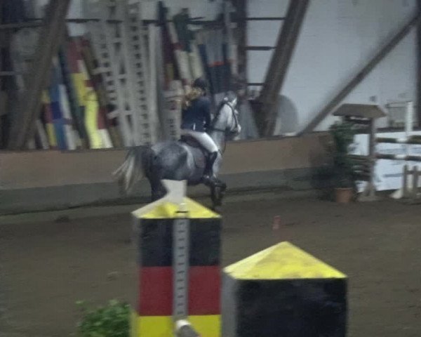 Reitturnier HH-Hummelsbüttel 2017