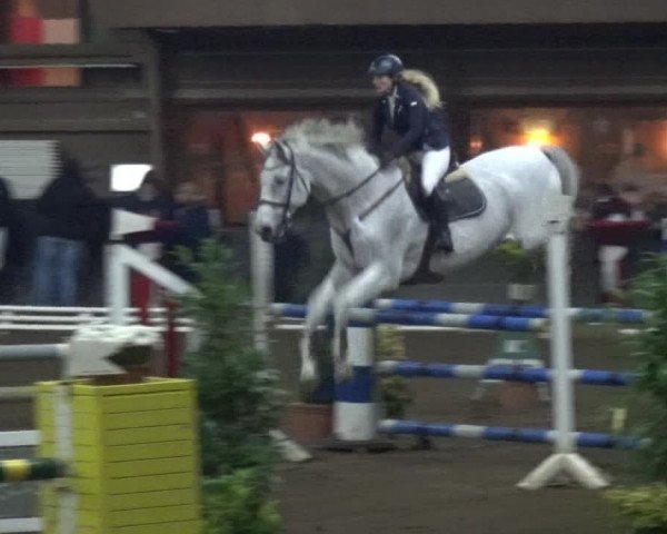 Reitturnier HH-Hummelsbüttel 2017