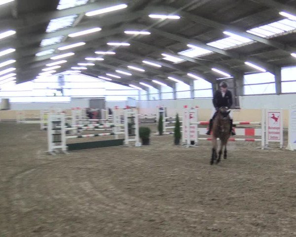 Reitturnier Datteln 2017