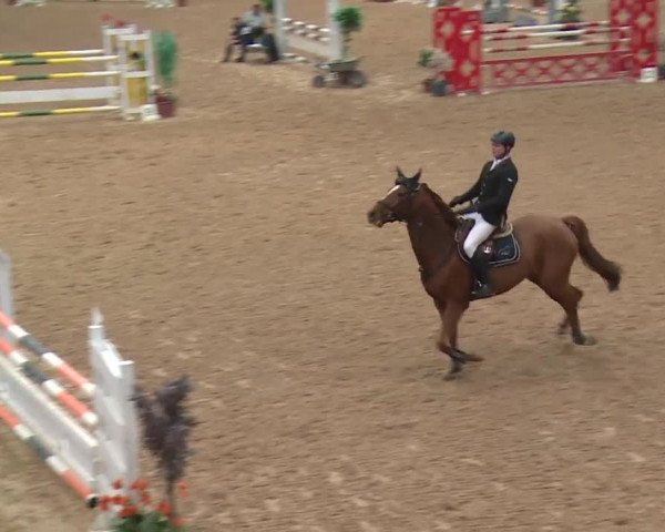Reitturnier Kreuth 2017