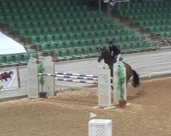 Reitturnier Kreuth 2017