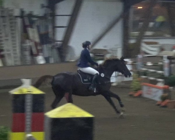 Reitturnier HH-Hummelsbüttel 2017