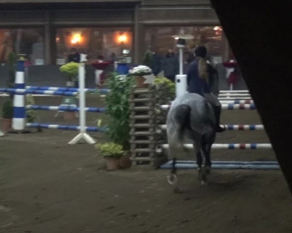 Reitturnier HH-Hummelsbüttel 2017