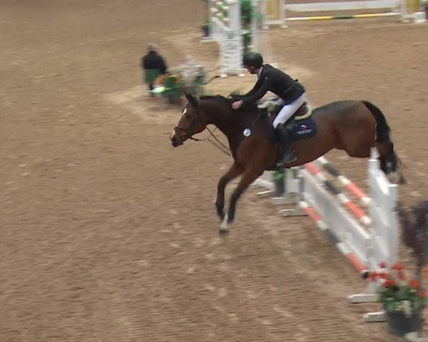 Reitturnier Kreuth 2017