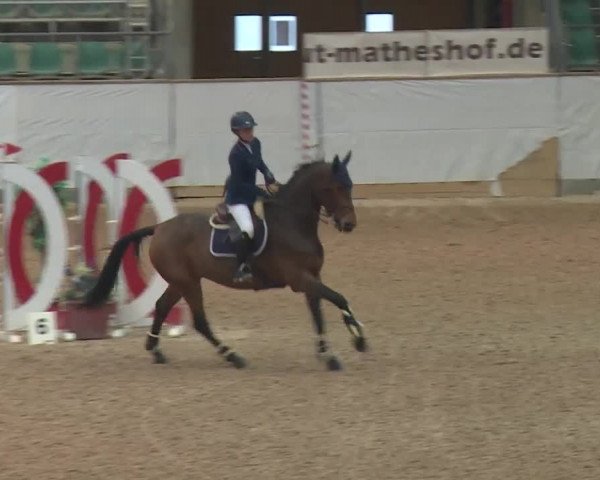 Reitturnier Kreuth 2017