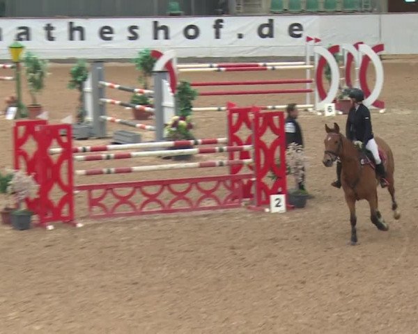 Reitturnier Kreuth 2017