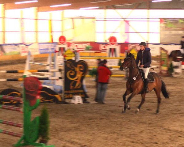 Reitturnier Pausin 2017