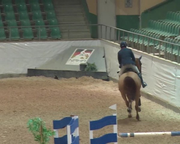 Reitturnier Kreuth 2017