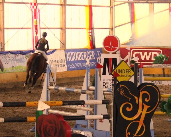 Reitturnier Pausin 2017