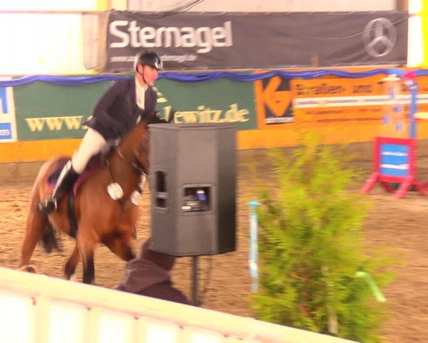Reitturnier Pausin 2017