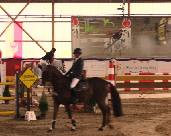 Reitturnier Pausin 2017