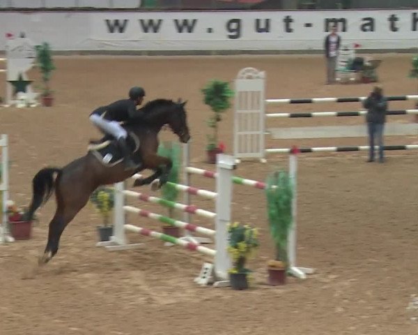 Reitturnier Kreuth 2017