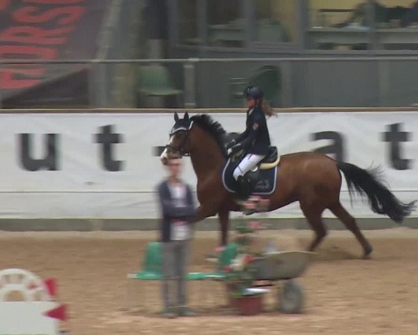 Reitturnier Kreuth 2017