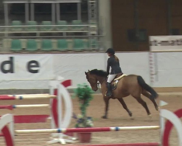 Reitturnier Kreuth 2017