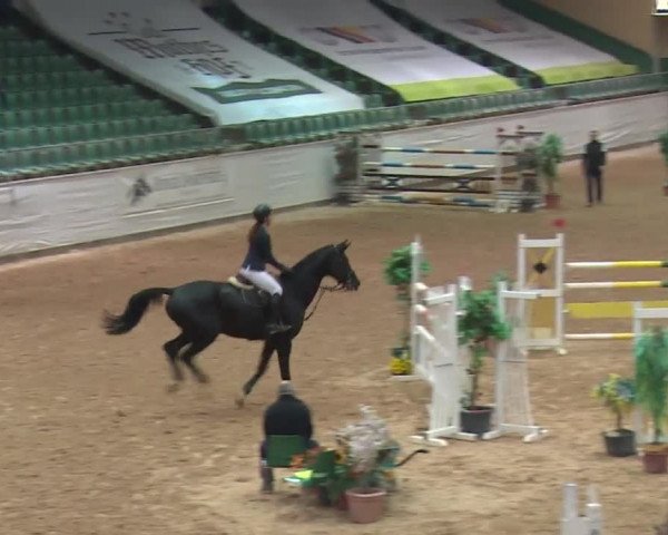 Reitturnier Kreuth 2017