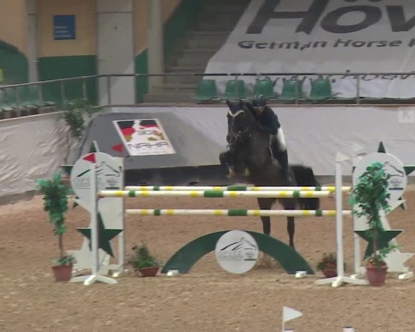Reitturnier Kreuth 2017
