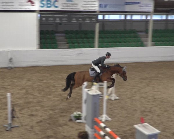 Reitturnier Zweibrücken 2017