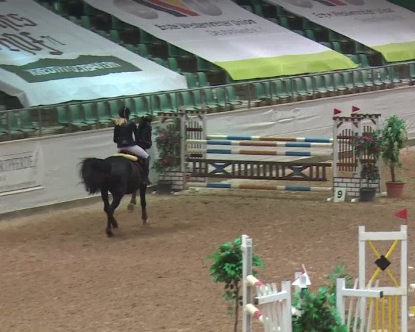 Reitturnier Kreuth 2017