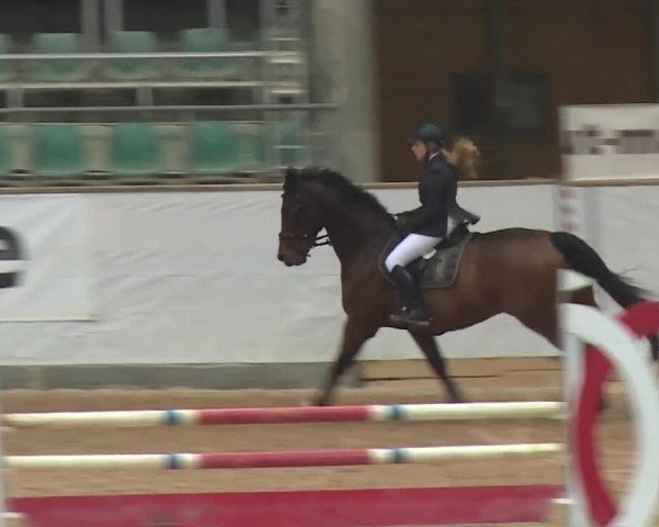 Reitturnier Kreuth 2017