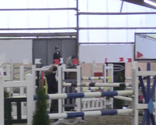 Reitturnier Datteln 2017