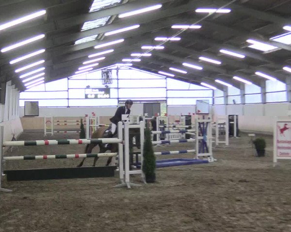 Reitturnier Datteln 2017