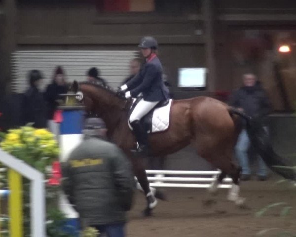 Reitturnier HH-Hummelsbüttel 2017