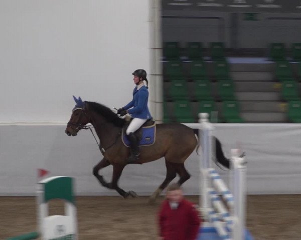 Reitturnier Zweibrücken 2017