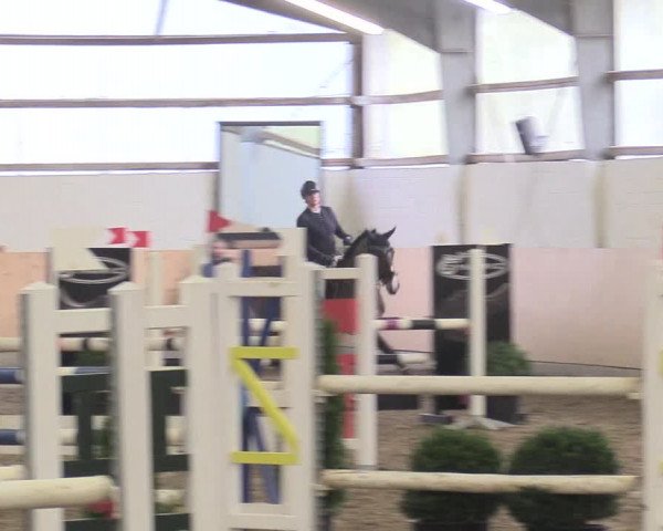 Reitturnier Datteln 2017