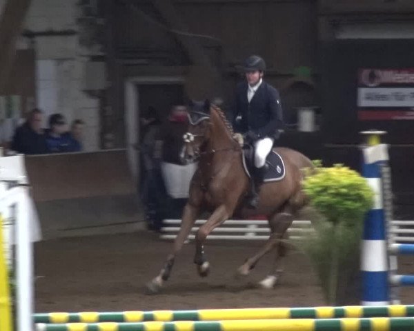 Reitturnier HH-Hummelsbüttel 2017