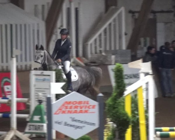 Reitturnier HH-Hummelsbüttel 2017