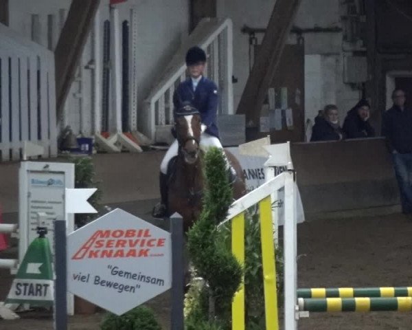 Reitturnier HH-Hummelsbüttel 2017