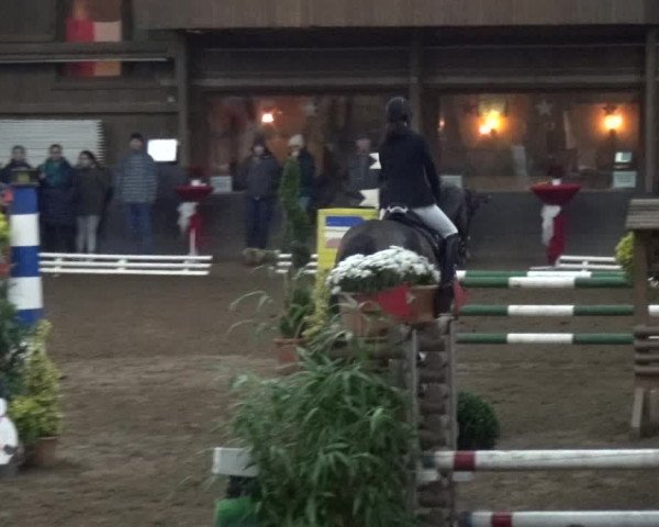 Reitturnier HH-Hummelsbüttel 2017