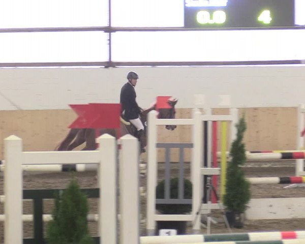 Reitturnier Datteln 2017