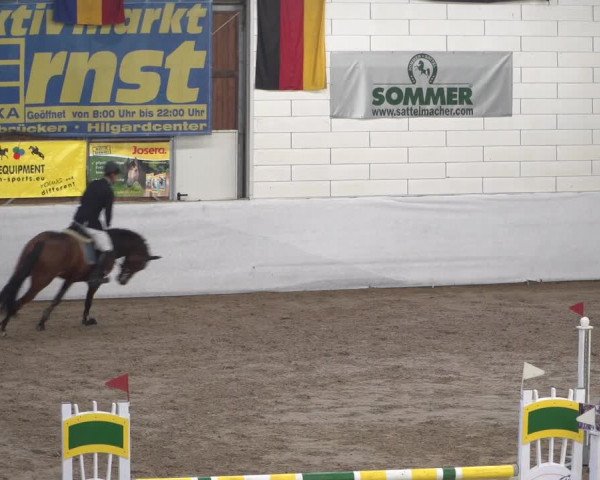 Reitturnier Zweibrücken 2017