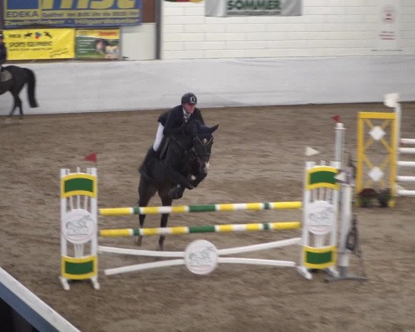 Reitturnier Zweibrücken 2017