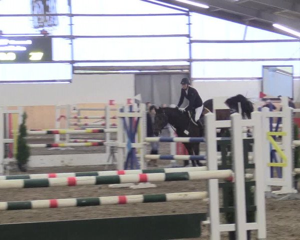 Reitturnier Datteln 2017
