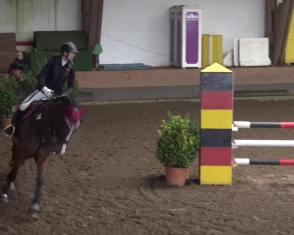Reitturnier HH-Hummelsbüttel 2017