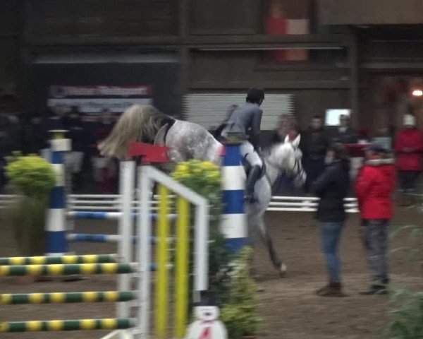 Reitturnier HH-Hummelsbüttel 2017