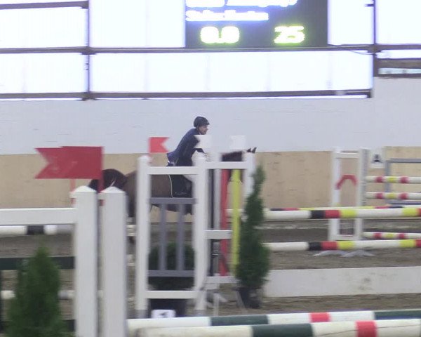 Reitturnier Datteln 2017