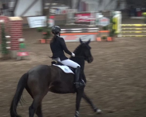 Reitturnier HH-Hummelsbüttel 2017