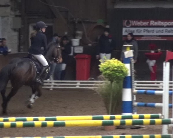Reitturnier HH-Hummelsbüttel 2017