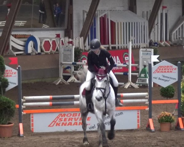 Reitturnier HH-Hummelsbüttel 2017