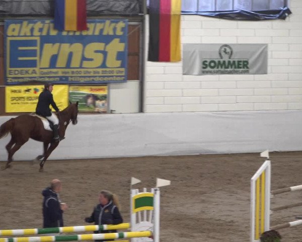 Reitturnier Zweibrücken 2017