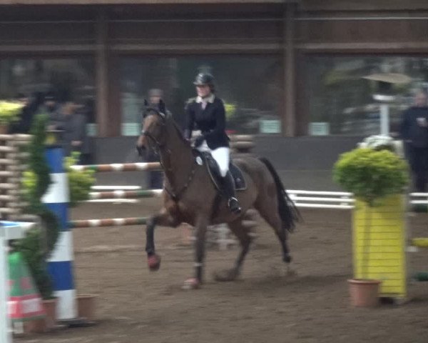 Reitturnier HH-Hummelsbüttel 2017